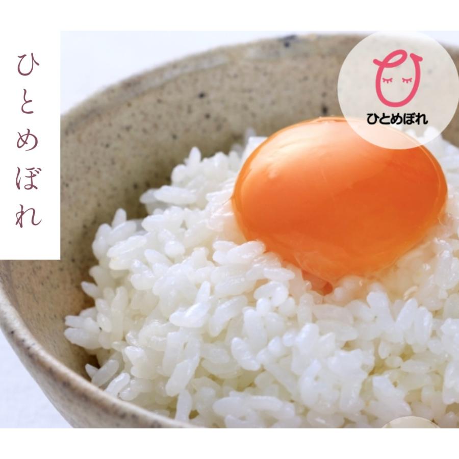 米 特別限定価格!【令和7年産岩手県産ひとめぼれ20kg】(5kg×4) : 杉善