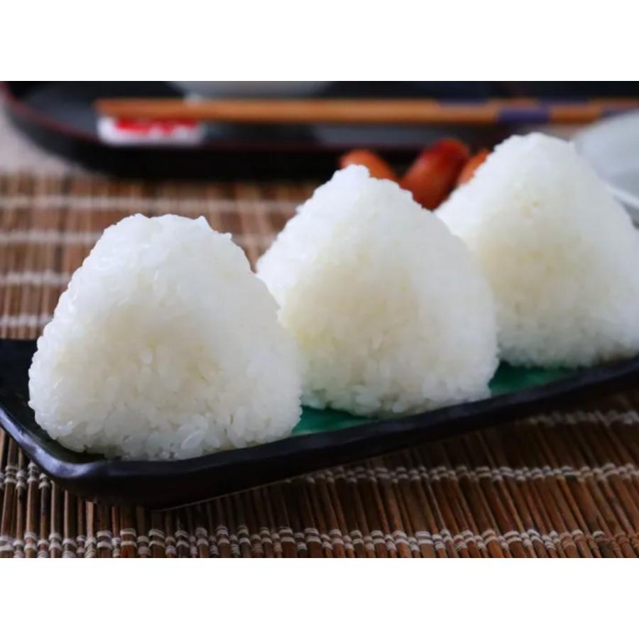 米 特別限定価格!【令和7年産岩手県産ひとめぼれ20kg】(5kg×4) : 杉善