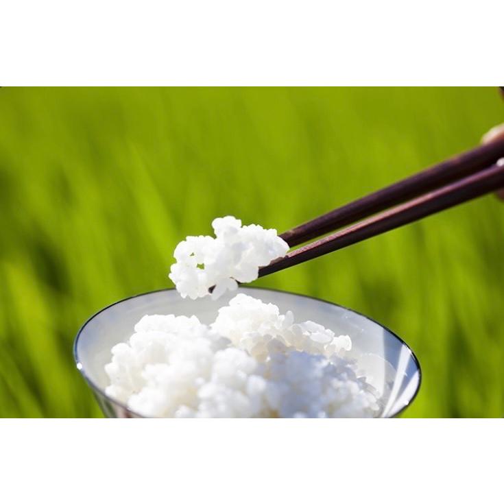 米 精米【令和7年産岩手県産銀河のしずく10kg】5kg×2 8年連続特A評価を