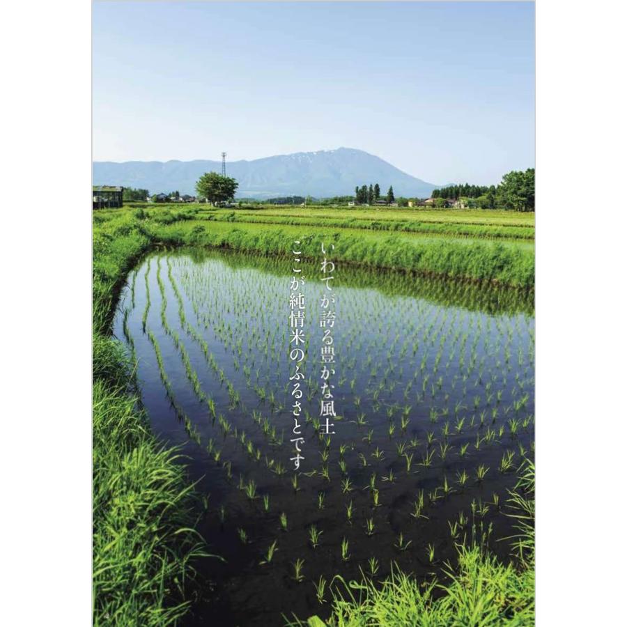 米 精米【令和7年産岩手県産銀河のしずく20kg】5kg×4 8年連続特A評価