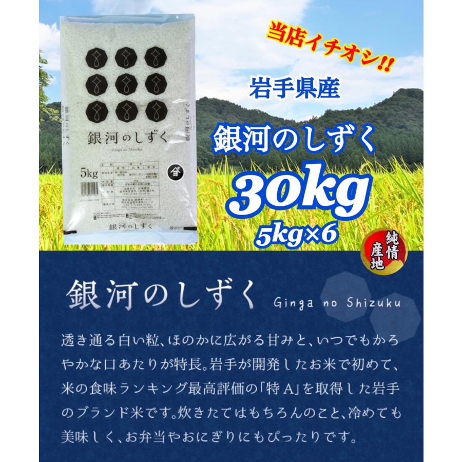sugizen-ginga30 型番:sugizen-ginga30