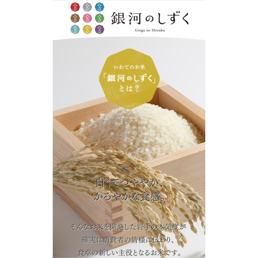 米 精米【令和7年産岩手県産銀河のしずく5kg】8年連続特A評価を獲得