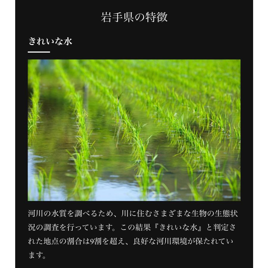 米 精米【令和7年産岩手県産ひとめぼれ30kg】5kg×6 モチモチ