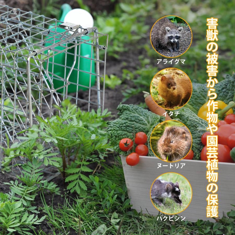 捕獲器 Lサイズ 動物捕獲器 野良猫 踏み板式 タヌキ捕獲器 W31 捕獲器 Lサイズ 動物捕獲器 野良猫 踏み板式 タヌキ捕獲器 W31