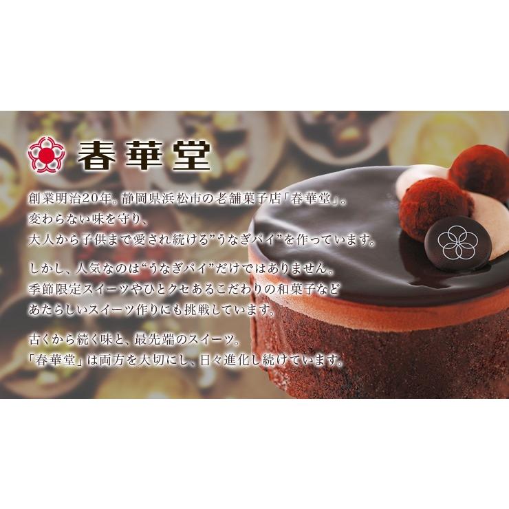 市場 送料込み 春華堂公式 アイスケーキ アイス トリュフココ クリスマス 濃厚なチョコレートをリッチに使った大人のアイスケーキ