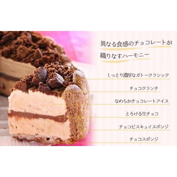 誕生日ケーキ バースデーケーキ チョコレートのアイスクリームデコレーションケーキ 5号 アイスケーキ Bs46 アイス スイーツ専門店 善左エ門 通販 Yahoo ショッピング