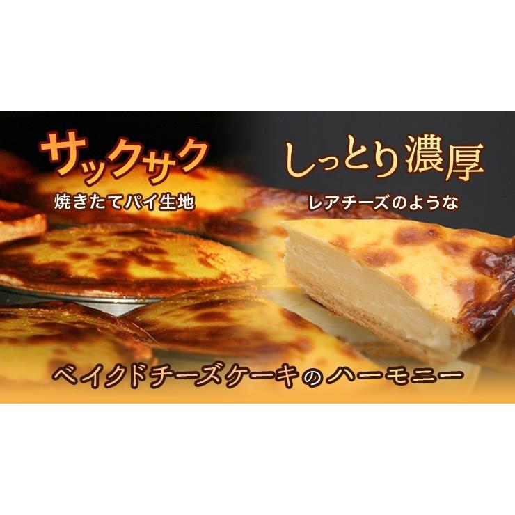 数量限定 ティンカーベル 北見 チーズベーク 22センチ 北海道 チーズケーキ ギフト Ev01 アイス スイーツ専門店 善左エ門 通販 Yahoo ショッピング