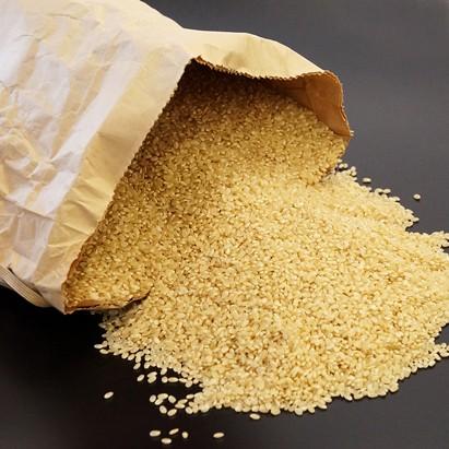 コシヒカリ 萩原農場 多古米 【玄米】(30kg)令和6年産 (2024 コシヒカリ 萩原農場 多古米 【玄米】(30kg)令和6年産 (2024