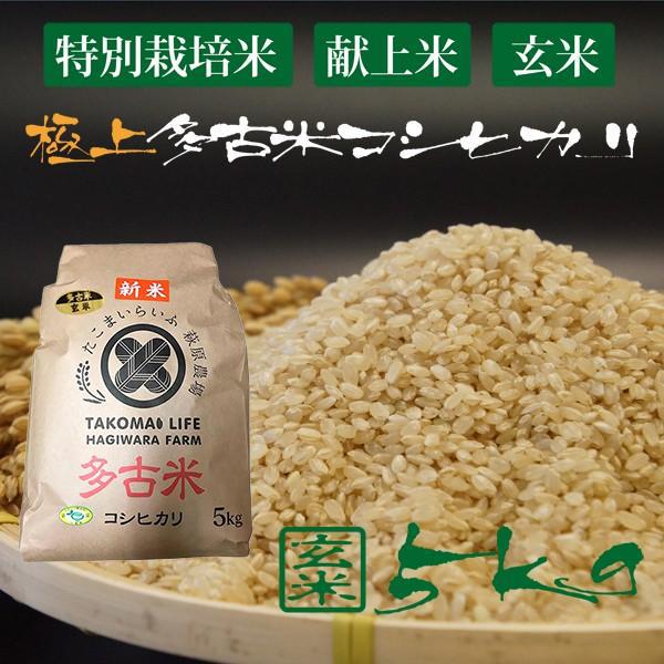 令和5年産 新米 産地直送 市場に出回りにくい 萩原農場 の 特別栽培米 多古米 コシヒカリ 【玄米】 5kg｜zeppinchibahonpo｜06