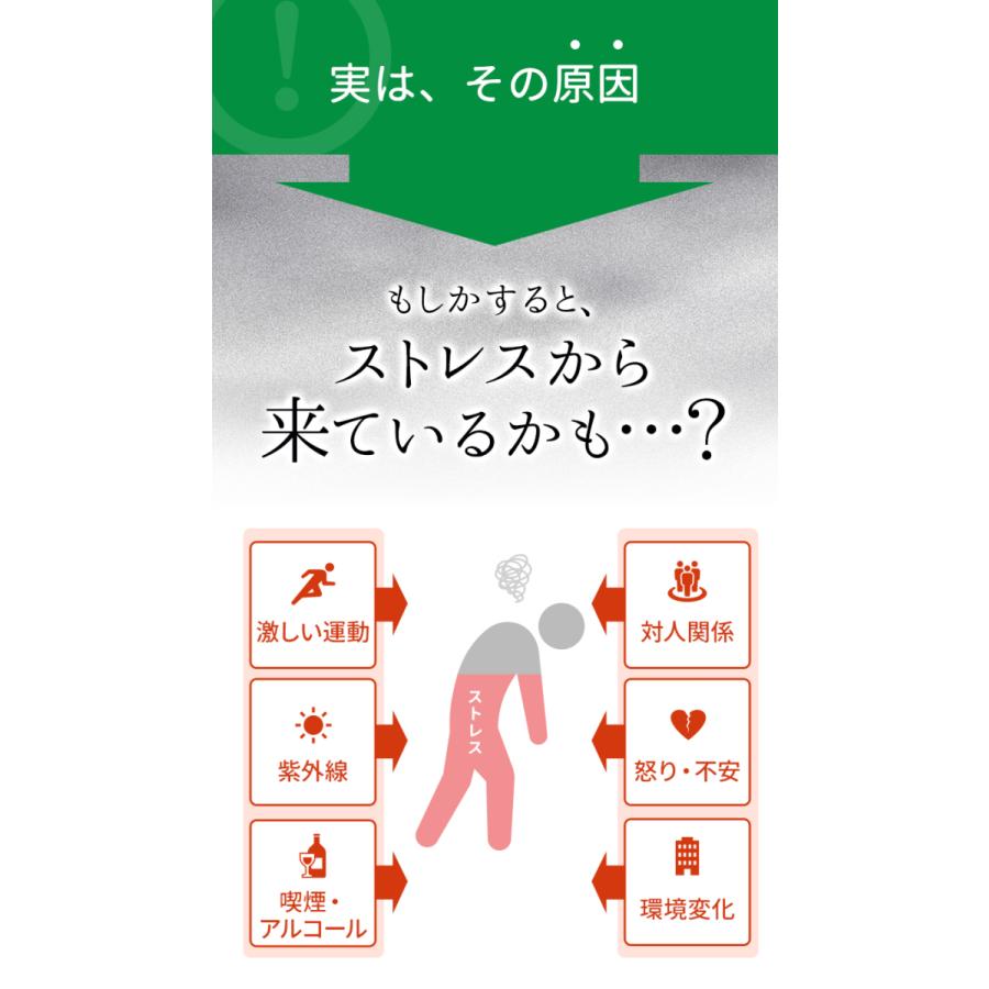 ゼリア新薬工業 SOD 酵素（スーパーオキシドジスムターゼ