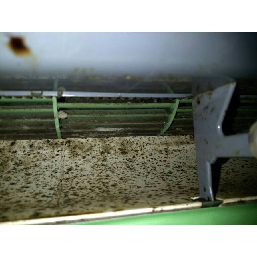 エアコンクリーニング(お掃除訪問サービス)清掃・ハウスクリーニング　※ギフトにもおススメ！特別割引価格！ |  | 01