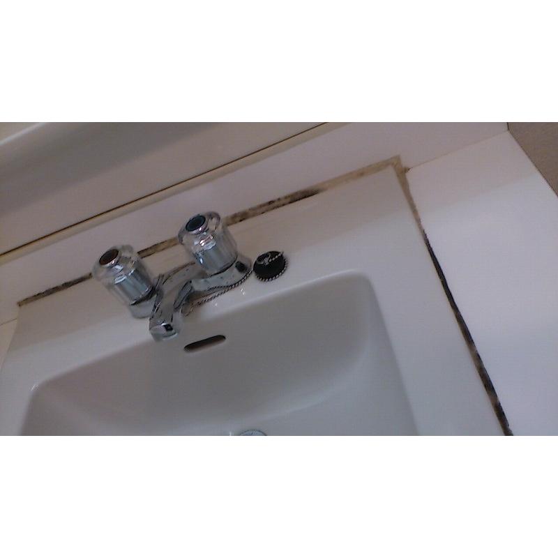 洗面台クリーニング(お掃除訪問サービス)清掃・ハウスクリーニング　※ギフトにもおススメ！特別割引価格！ |  | 01