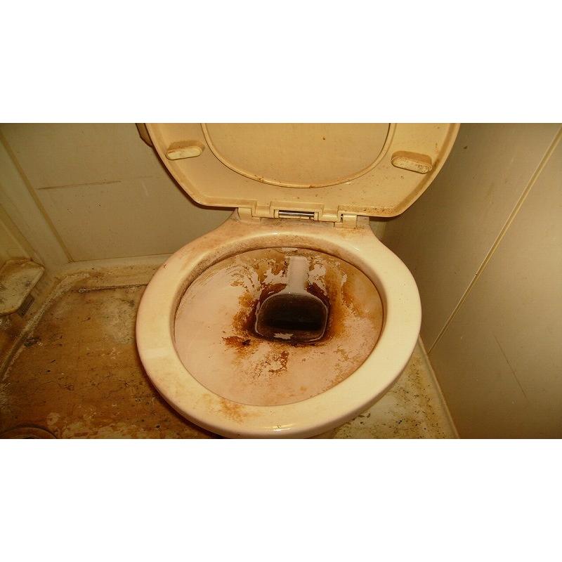 トイレクリーニング(お掃除訪問サービス)清掃・ハウスクリーニング　※ギフトにもおススメ！特別割引価格！ |  | 01