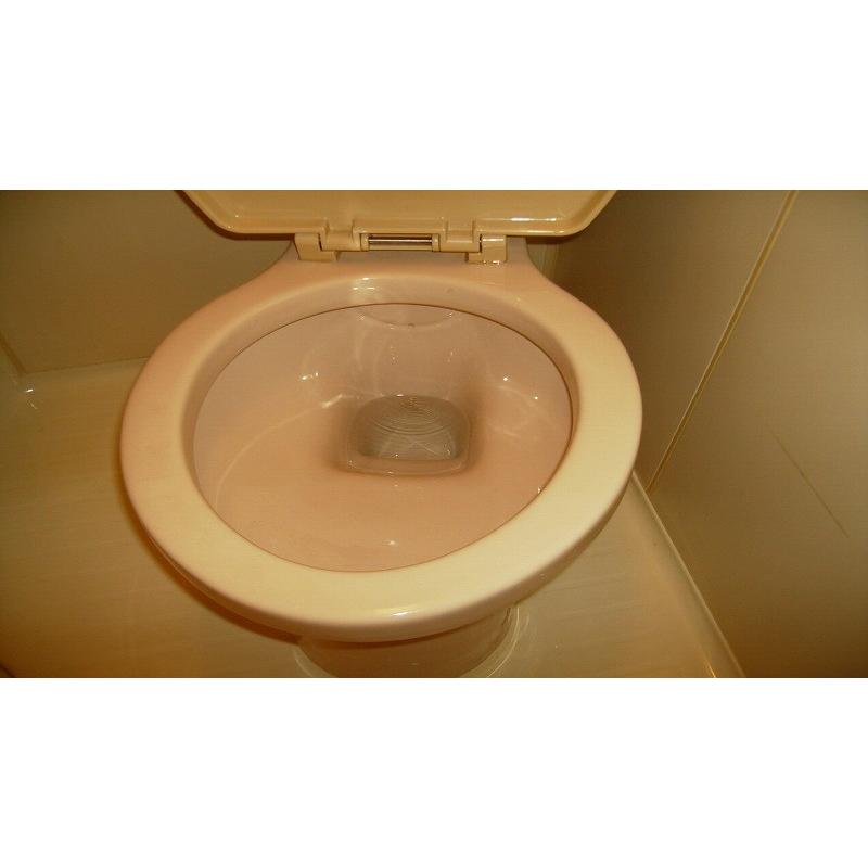 トイレクリーニング(お掃除訪問サービス)清掃・ハウスクリーニング　※ギフトにもおススメ！特別割引価格！ |  | 02