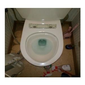 トイレクリーニング(お掃除訪問サービス)清掃・ハウスクリーニング　※ギフトにもおススメ！特別割引価格！ |  | 04