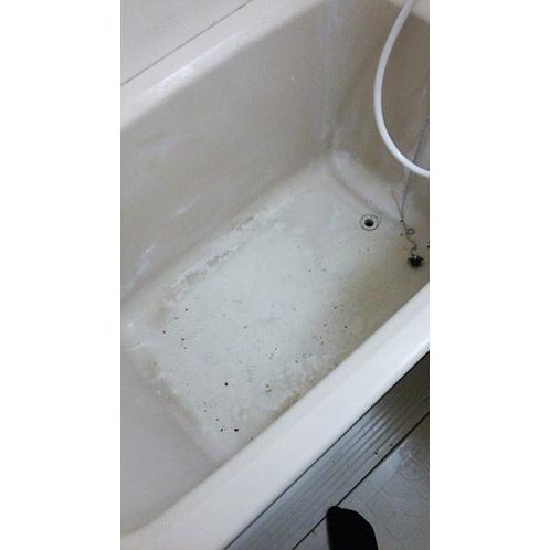 浴室クリーニング(お掃除訪問サービス)清掃・ハウスクリーニング　※ギフトにもおススメ！特別割引価格！ |  | 01