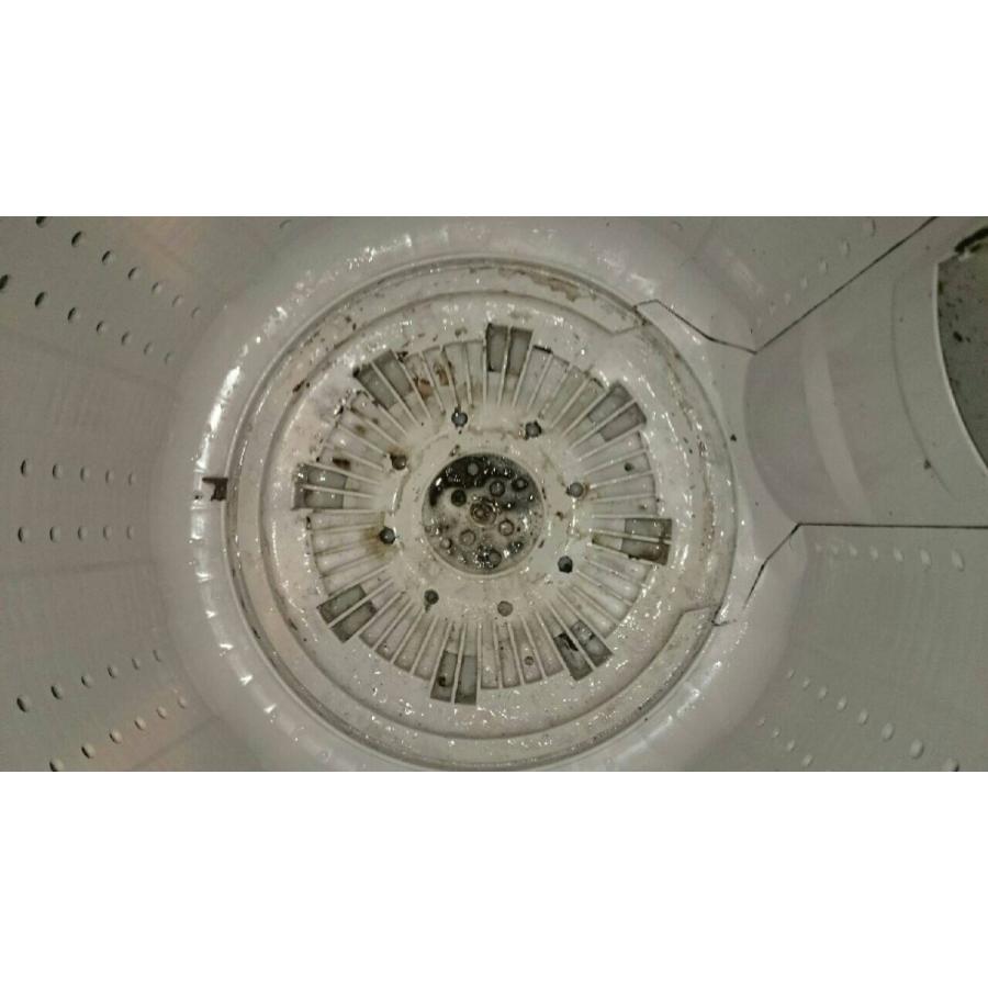 洗濯機クリーニング(お掃除訪問サービス)清掃・ハウスクリーニング　※ギフトにもおススメ！ |  | 01