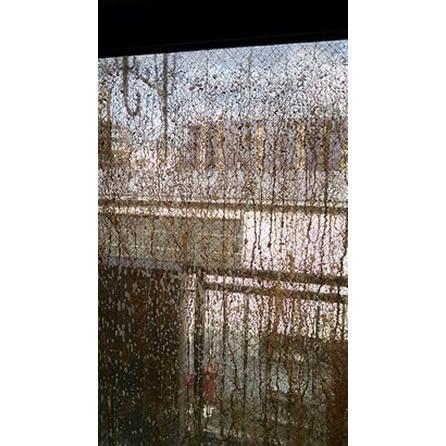 雨戸クリーニング(お掃除訪問サービス)清掃・ハウスクリーニング　※ギフトにもおススメ！ |  | 01