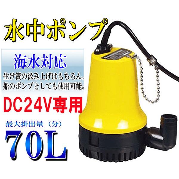 包装無料 送料無料 Huanyu 水中ポンプ 最大揚程8 5m ビルジポンプ 漁船 海水 川 低騒音 業務用 フローティングスイッチ付き Dc12v 55 以上節約 Insfatima Com Ar