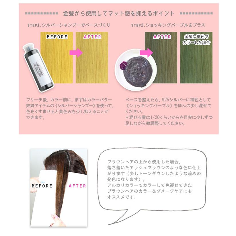 カラーバター 925シルバー 200g ヘアカラー カラートリートメント