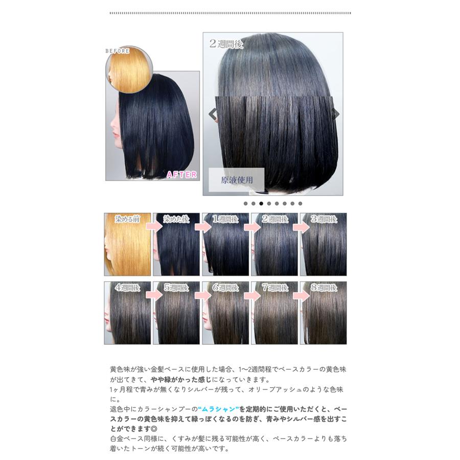 カラーバター アッシュブルー 200g ヘアカラー カラートリートメント