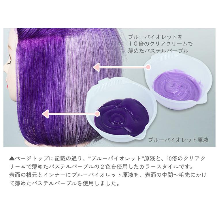 カラーバター ブルーバイオレット 200g ヘアカラー カラー