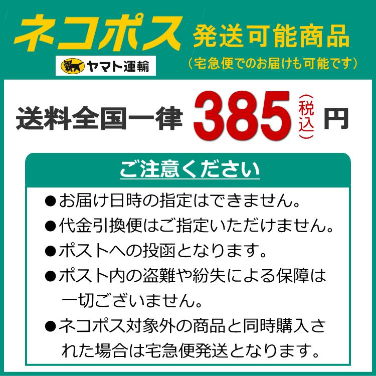 RIP CURL（リップカール） ウェットスーツ レディース ウェットパンツ