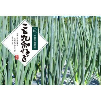 現金特価 ミッション カレーで巡る京の味 こと九条葱 九条葱カレー 食セット 保証書付 Blog Lonolife Com