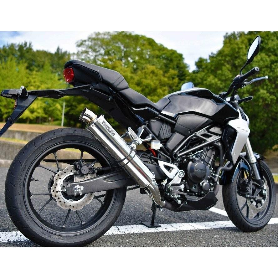 印象のデザイン印象のデザインCB250R（2BK-MC52） R-EVO スリップオン