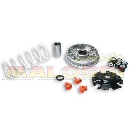 ライブディオ ZX（DIO）〜99年 マルチバリエーター MALOSSI（マロッシ）