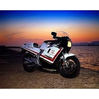 豪華 RG500γ フルカウルAssy 白ゲルコート仕上げ CLEVER WOLF RACING 