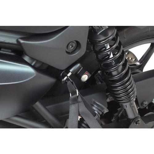 ELIMINATOR/SE（エリミネーター/SE）8BL-EL400A ヘルメットホルダーセット（いじり防止ボルト付属/シート下） SP武川（TAKEGAWA）