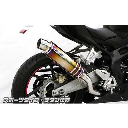 CBR250RR（8BK-MC51） スリップオンマフラー スポーツタイプ チタン ウイルズウィン（WirusWin）