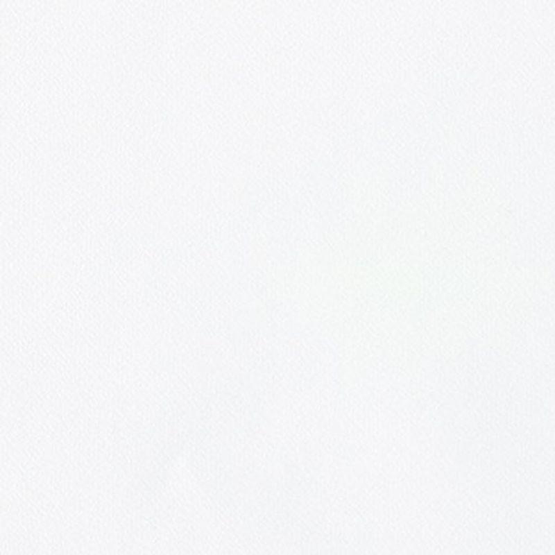 【希望者のみラッピング無料】 壁紙35m リリカラ シンフ?ル LW-2580 Collection- -Licensed Co. & MORRIS ホワイト 無地 壁紙