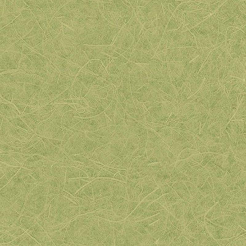 早者勝ち リリカラ 壁紙39m 和 和紙調 グリーン Japan Lw 2648 Www Ivanaconamor Com