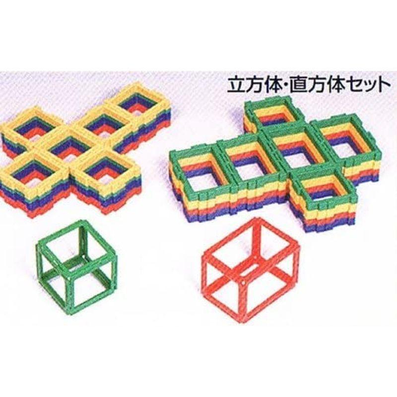 POLYDRON（ポリドロン)立方体・直方体セット16人用 4歳から大人まで 立方体 ポリドロン 　