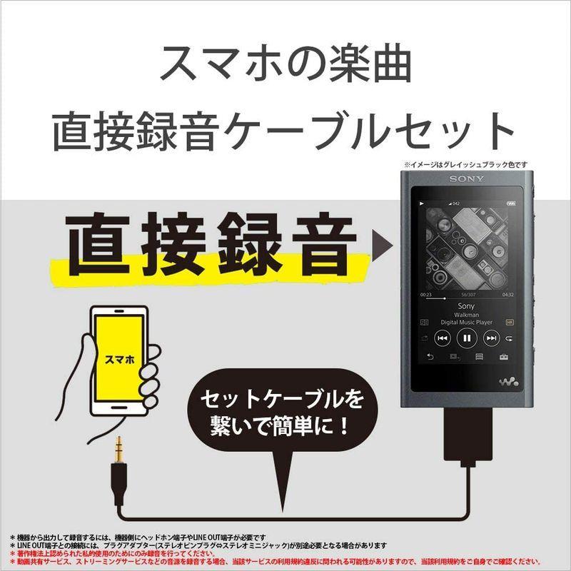Xperia用ソニー ウォークマン Aシリーズ MP3プレーヤー 16GB NW-A55 BM 