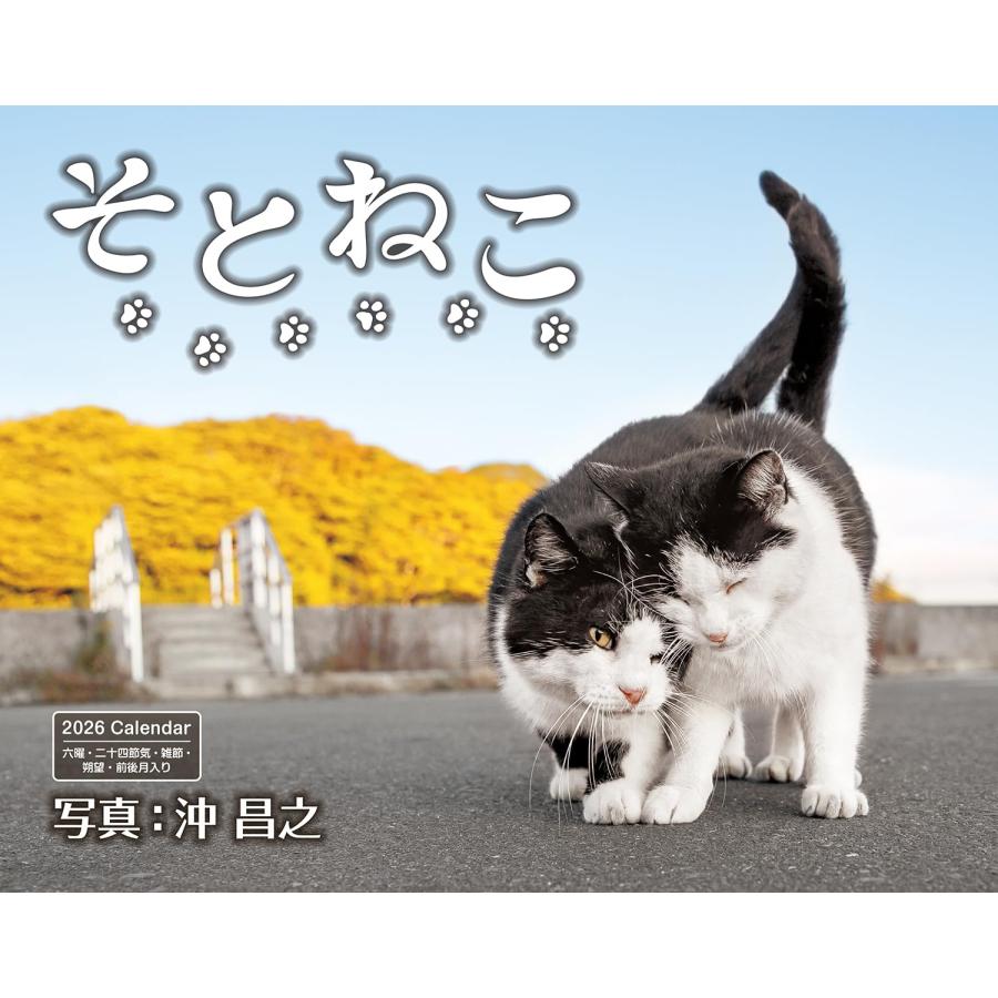 カレンダー2026 そとねこ（月めくり/壁掛け/600mm×380mm） (インプレス