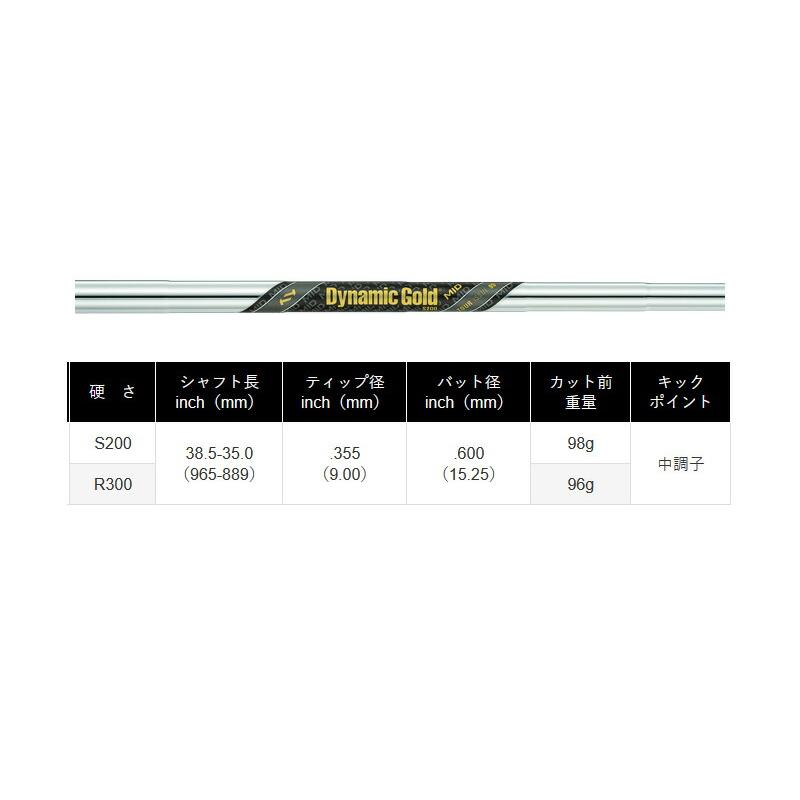 DUNLOP（ダンロップ） DUNLOP 2024 SRIXON ZXi5 IRON スリクソン ZXi5
