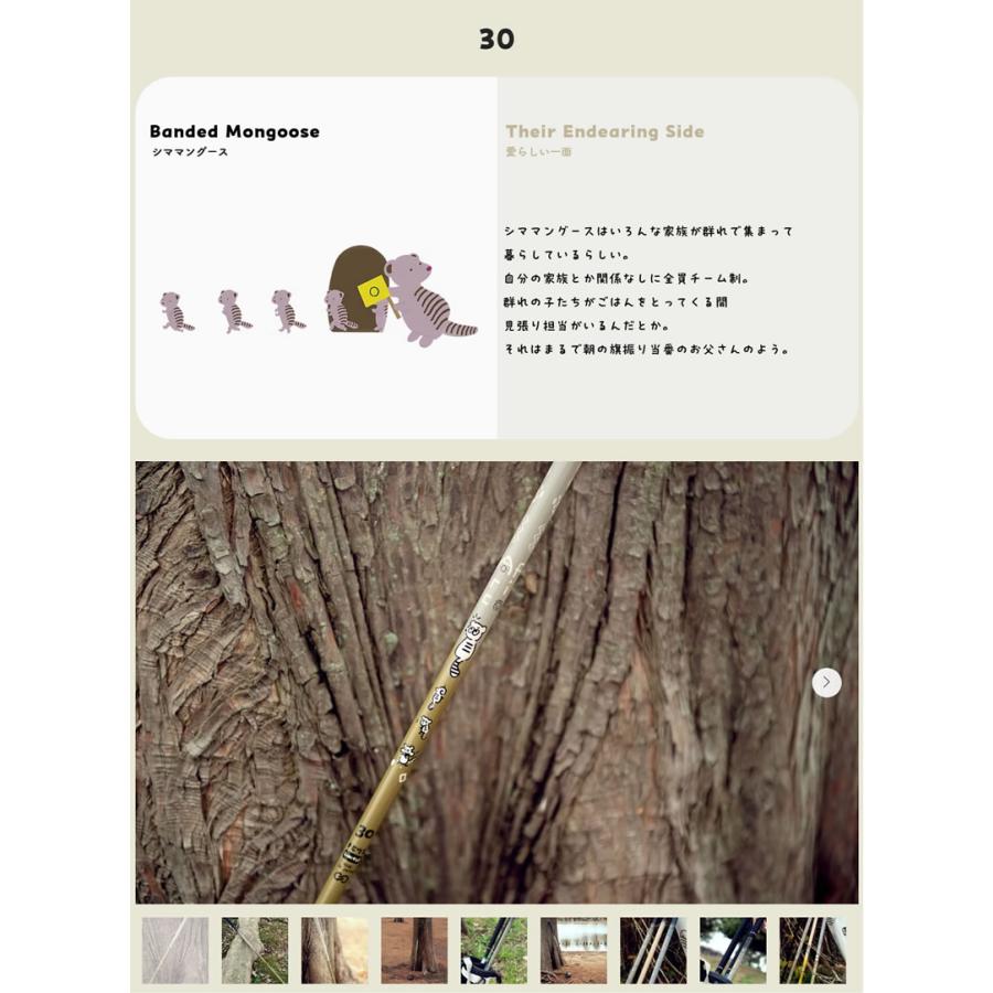 ⑳デザインチューニング アフリカ シママングース 30 Africa Design