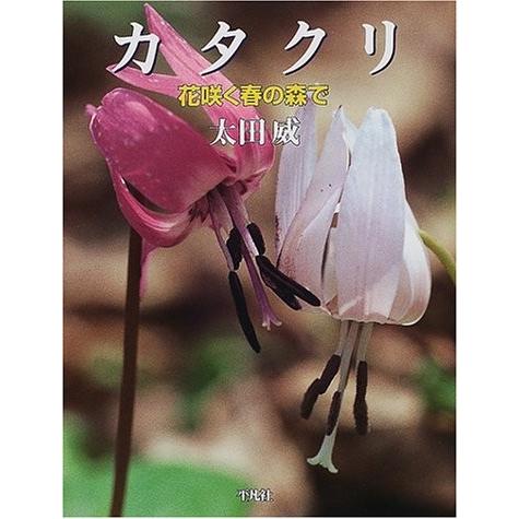 古本 カタクリ 花咲く春の森で 中古