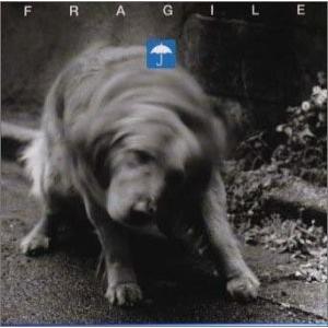 即納最大半額 ノー ウェット 中古 新発 Turningheadskennel Com