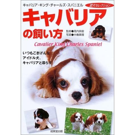 限定モデル キャバリアの飼い方 いつもごきげんなアイドル犬 キャバリアと