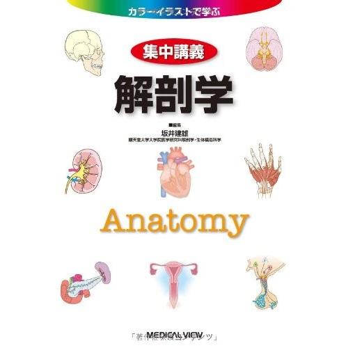 受注可 の解剖学 カラーイラストで学ぶ 集中講義 集中講義 中古 中古 Upgr