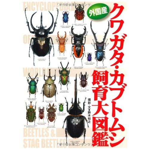 国内配送 外国産クワガタ ガブトムシ飼育大図鑑 本 アウトレット Rakuten Esiba Tg