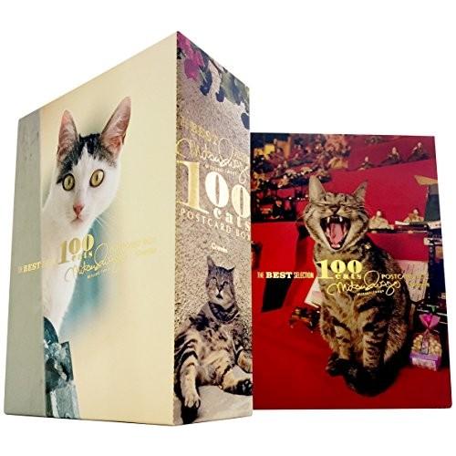 岩合光昭のねこポストカードベスト100 バラエティ 本 アウトレット Duf6abrxrs イラスト カット Www 1 Pact Fr