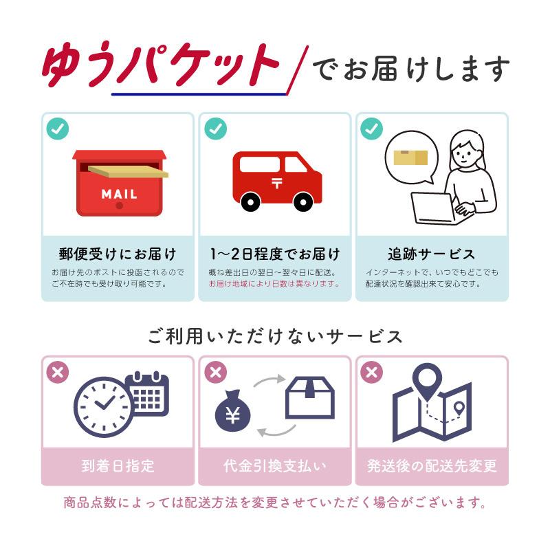 ランドクルーザー ランクル 200系 前期 中期 後期 ドアプロテクター 4