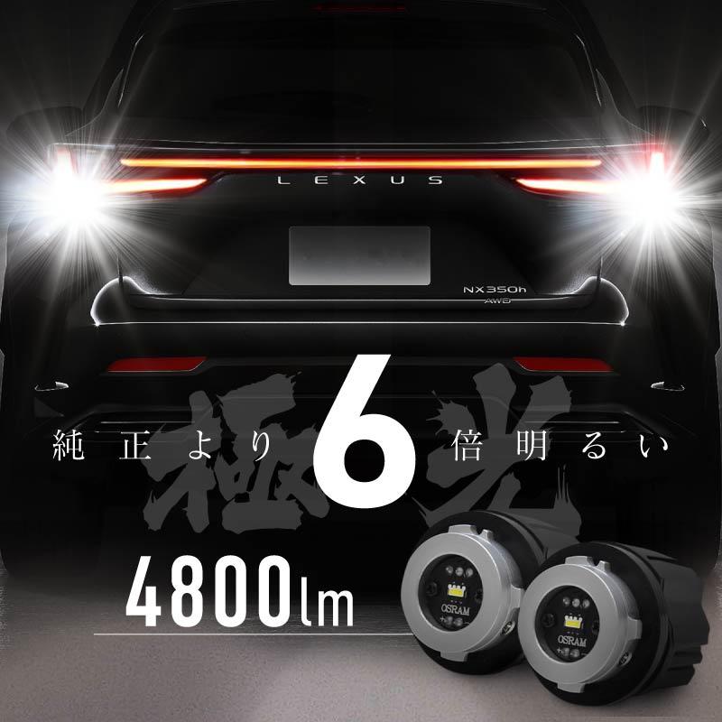 レクサス NX バックランプ LED lw5b タイプB 爆光 明るい ホワイト 白