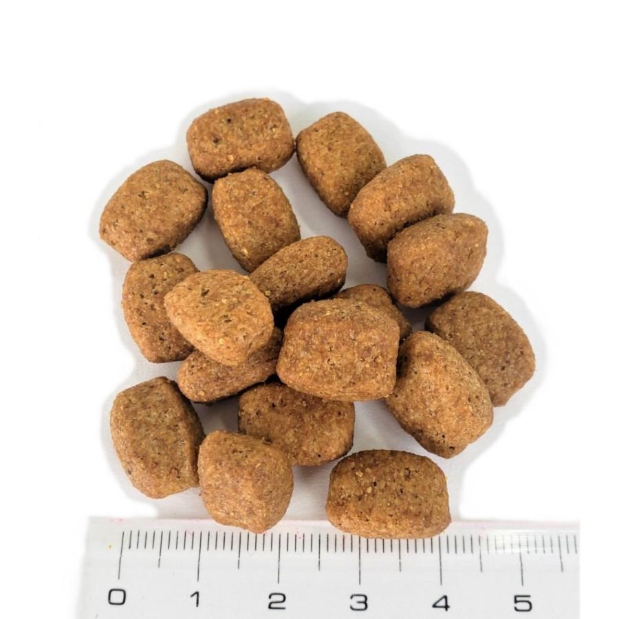 最大50%OFFクーポン アカナクラシック レッドミートレシピ 2kg×3個 t ペット フード 犬 ドッグ 総合栄養食 送料無料 fucoa.cl