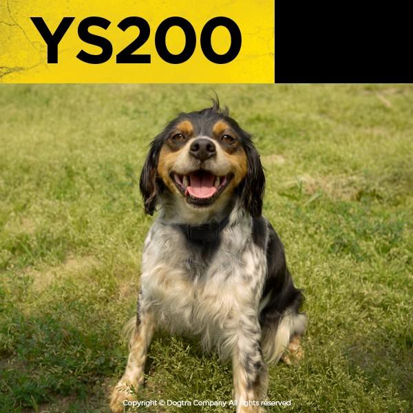 しつけ 首輪 DOGTRA ドクトラ ノーバークトレーナー YS200 送料 しつけ 首輪 DOGTRA ドクトラ ノーバークトレーナー YS200 送料